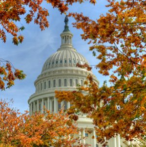 capitol_300x300