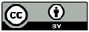 L1-06