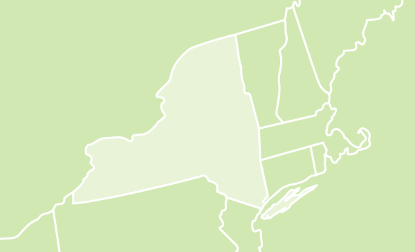 Image New York US map