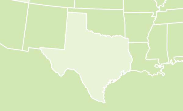 Texas US map