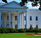 whitehouse